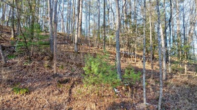 Lake Acreage Sale Pending in Ellijay, Georgia