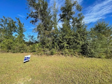 (private lake, pond, creek) Acreage For Sale in Wewahitchka Florida