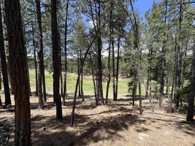 Monte Verde Lake Lot Active Under Contract in Angel Fire New Mexico