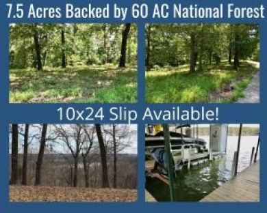 Lake view acreage backing National Forest - Lake Acreage For Sale in Galena, Missouri