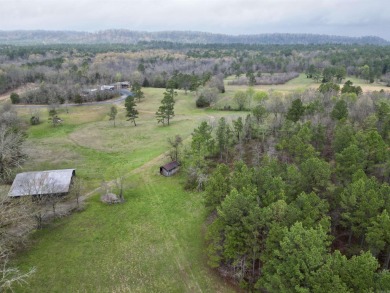 Lake Home For Sale in Mount Ida, Arkansas