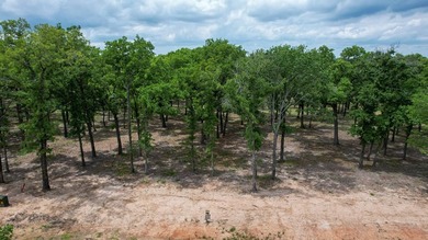 Beautiful elevated 4-acre lot with a deeded boatslip (#42) that - photo 3