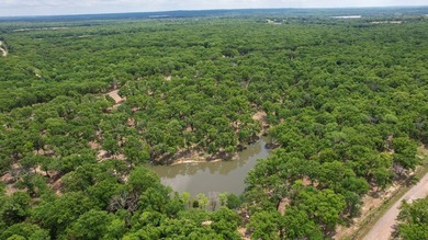 Beautiful elevated 4-acre lot with a deeded boatslip (#42) that - photo 10