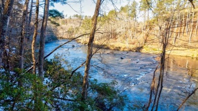 Lake Acreage Sale Pending in Ellijay, Georgia