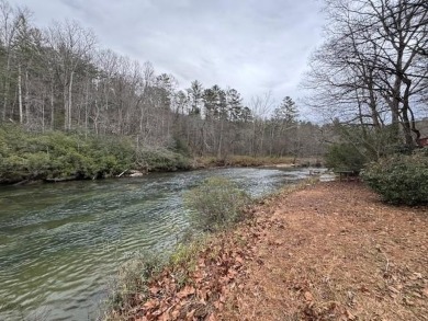 Lake Lot For Sale in Blue Ridge, Georgia