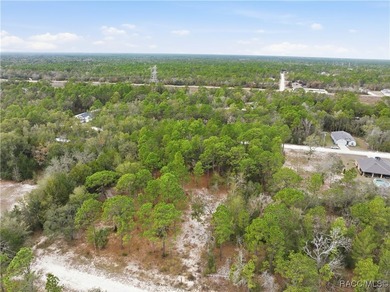 Nestled in a quiet, secluded setting, this .69-acre parcel in - photo 21