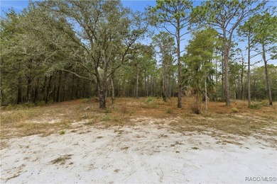 Nestled in a quiet, secluded setting, this .69-acre parcel in - photo 22