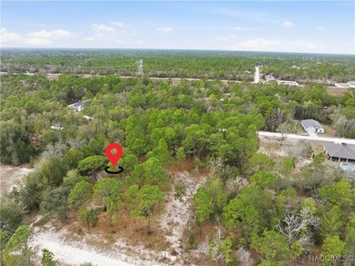 Nestled in a quiet, secluded setting, this .69-acre parcel in - photo 23
