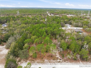 Nestled in a quiet, secluded setting, this .69-acre parcel in - photo 24