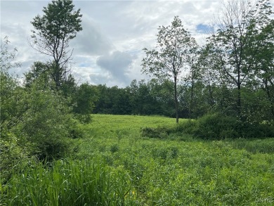 (private lake, pond, creek) Acreage For Sale in Cortland New York