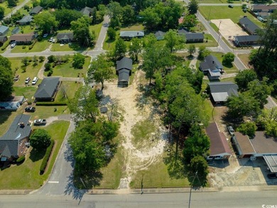 (private lake, pond, coastal) Lot For Sale in Lake View South Carolina