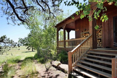 Lake Home For Sale in Placerville, Colorado