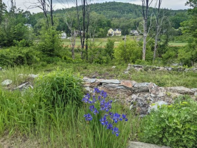 Ammonoosuc River Lot For Sale in Lisbon New Hampshire