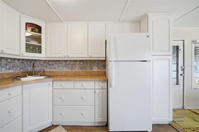 NEW PRICE DROP! South Tampa 55+ co-op owned gated exotic - photo 11