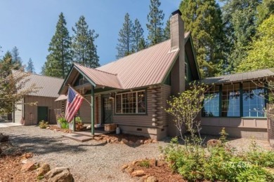 Lake Home For Sale in Trinity Center, California