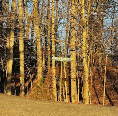 (private lake, pond, coastal) Lot For Sale in Young Harris Georgia