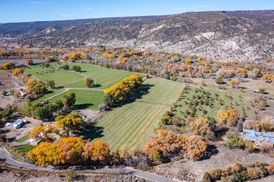 Discover The Cottonwood Ranch, a remarkable investment - photo 3