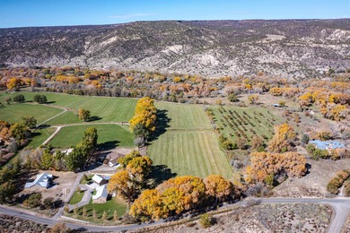 Discover The Cottonwood Ranch, a remarkable investment - photo 4