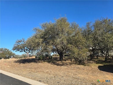 Fantastic corner lot ready to build situated in the sought-after - photo 5