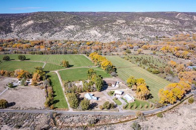 Discover The Cottonwood Ranch, a remarkable investment - photo 5