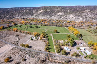 Discover The Cottonwood Ranch, a remarkable investment - photo 6