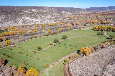 Discover The Cottonwood Ranch, a remarkable investment - photo 7