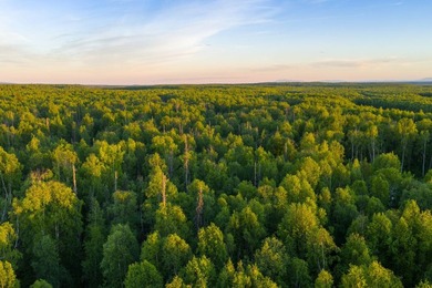 Take a look at this beautiful 3.62 +/- acre property (Unit 77) - photo 17