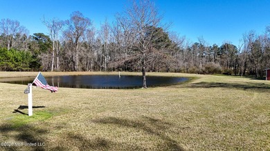 Welcome to 5192 Bean Rd in the Gilllsburg community! The 45 - photo 18