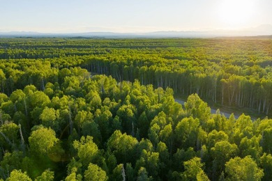 Take a look at this beautiful 3.62 +/- acre property (Unit 77) - photo 18