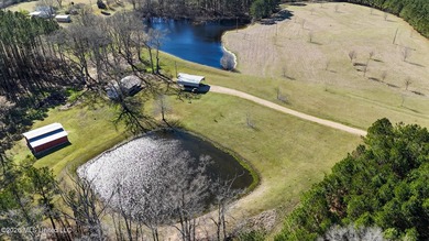 Welcome to 5192 Bean Rd in the Gilllsburg community! The 45 - photo 20