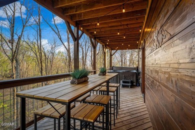 TOTAL SMOKY MOUNTAIN EXPERIENCE! Pine Top Escape is a stunning - photo 21