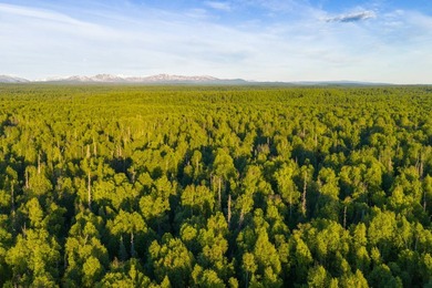 Take a look at this beautiful 3.62 +/- acre property (Unit 77) - photo 22