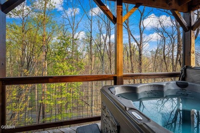 TOTAL SMOKY MOUNTAIN EXPERIENCE! Pine Top Escape is a stunning - photo 23