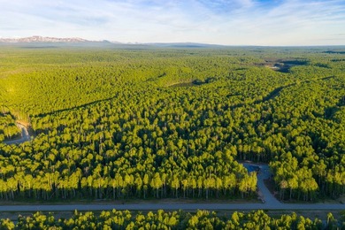 Take a look at this beautiful 3.62 +/- acre property (Unit 77) - photo 23