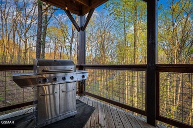 TOTAL SMOKY MOUNTAIN EXPERIENCE! Pine Top Escape is a stunning - photo 24