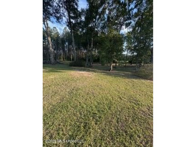 Welcome to 5192 Bean Rd in the Gilllsburg community! The 45 - photo 24