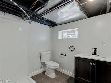 Beautifully renovated Cape Cod in Euclid offering the perfect - photo 24