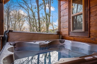 TOTAL SMOKY MOUNTAIN EXPERIENCE! Pine Top Escape is a stunning - photo 25