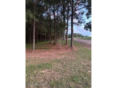 Welcome to 5192 Bean Rd in the Gilllsburg community! The 45 - photo 25