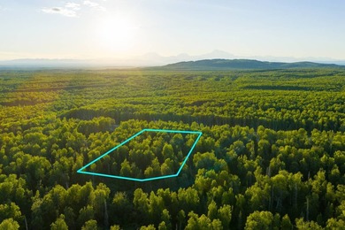 Take a look at this beautiful 3.62 +/- acre property (Unit 77) - photo 25