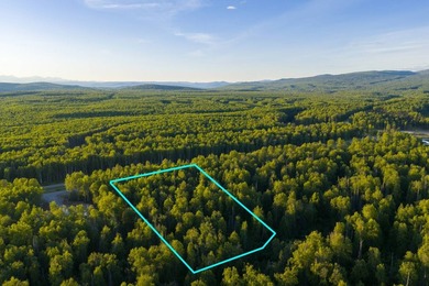 Take a look at this beautiful 3.62 +/- acre property (Unit 77) - photo 27