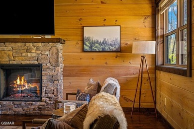 TOTAL SMOKY MOUNTAIN EXPERIENCE! Pine Top Escape is a stunning - photo 29
