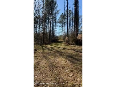 Welcome to 5192 Bean Rd in the Gilllsburg community! The 45 - photo 30