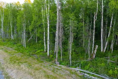 Take a look at this beautiful 3.62 +/- acre property (Unit 77) - photo 38