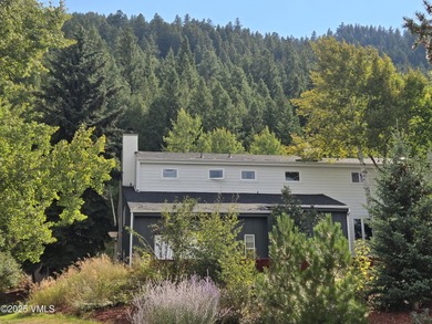 Eagle River Home For Sale in Eagle Colorado