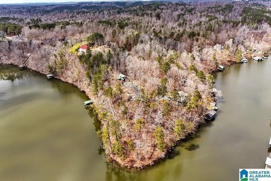Waterfront Lot on Highland Lake - A Hidden Gem in Alabama! Build - photo 2