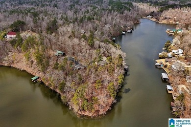 Waterfront Lot on Highland Lake - A Hidden Gem in Alabama! Build - photo 3
