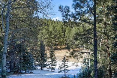 Located at the end of a quiet cul-de-sac, this homesite boasts - photo 4