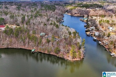 Waterfront Lot on Highland Lake - A Hidden Gem in Alabama! Build - photo 5
