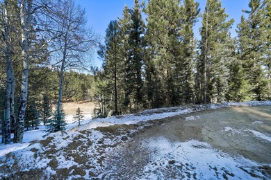 Located at the end of a quiet cul-de-sac, this homesite boasts - photo 5